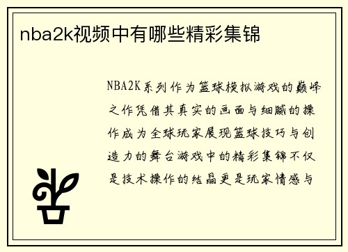 nba2k视频中有哪些精彩集锦