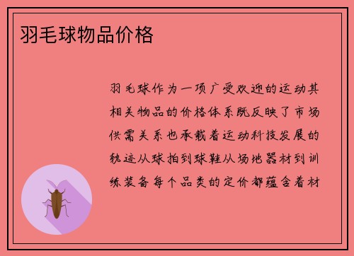羽毛球物品价格
